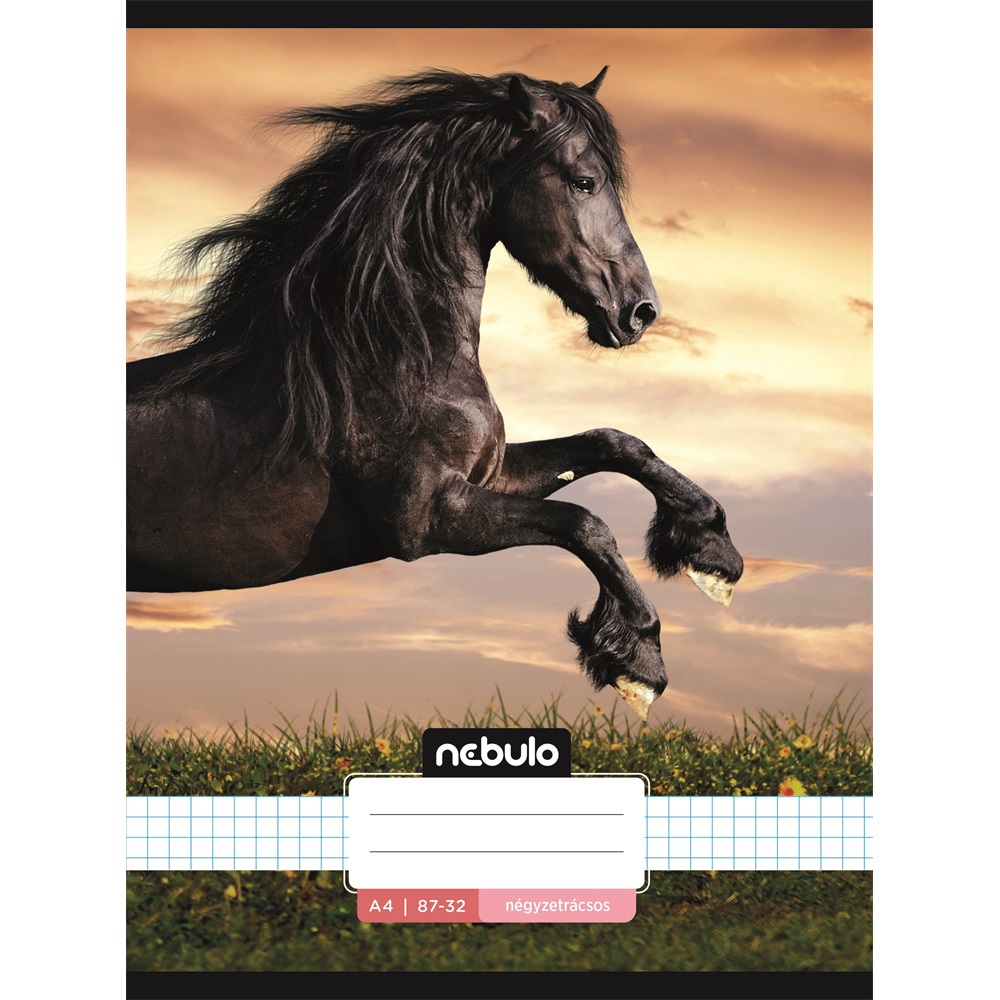 Füzet, A4, kockás, 87-32, L-Design minták, 12 db/csomag Nebulo - Image 8